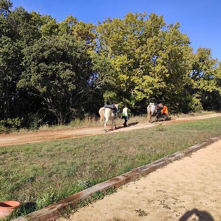 Domaine De La Blaque - B&B Varages Kültér fotó
