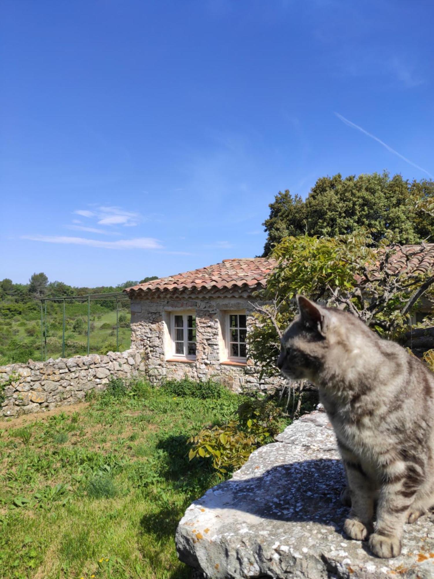 Domaine De La Blaque - B&B Varages Kültér fotó